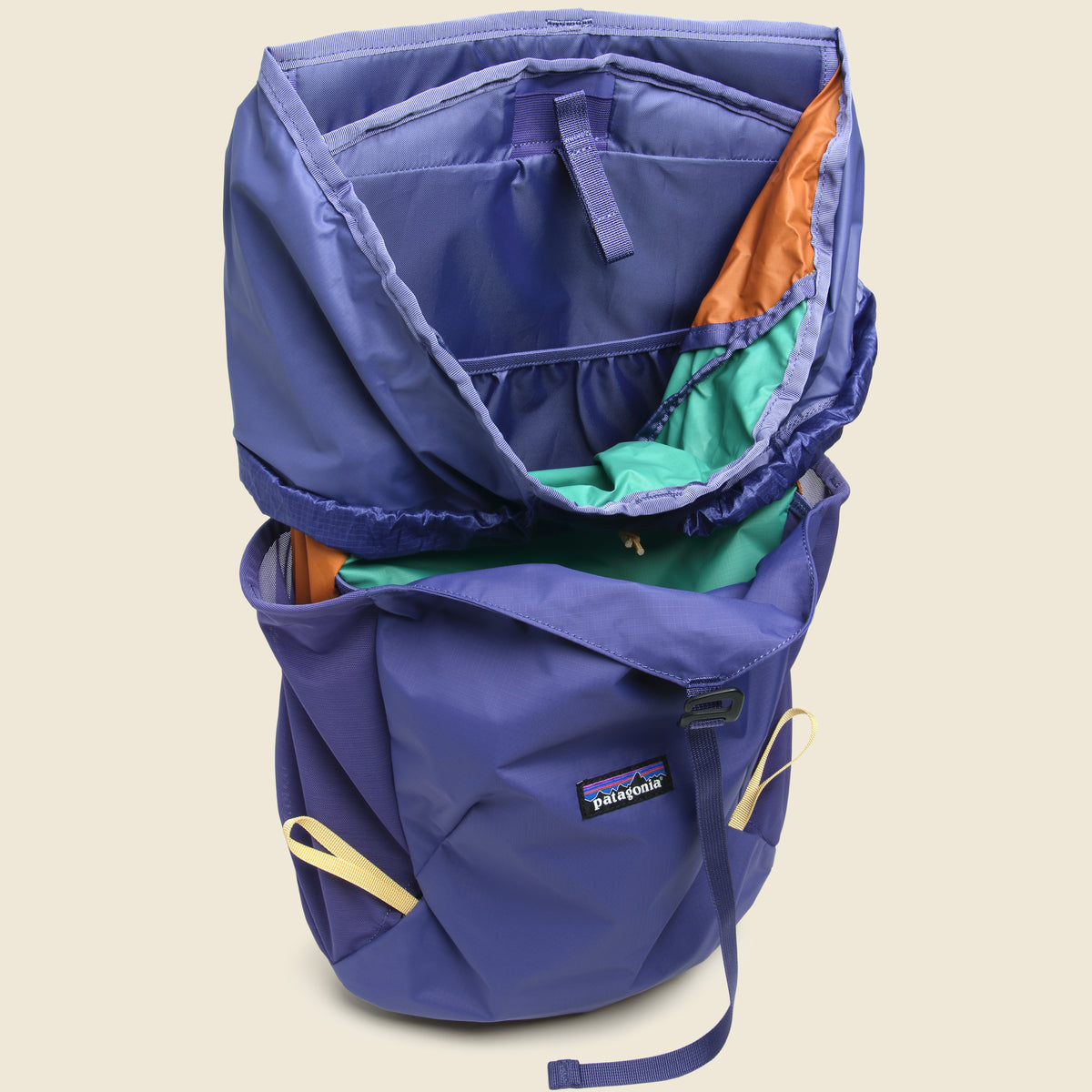 blue and purple patagonia backpack Terravia Pack 28L