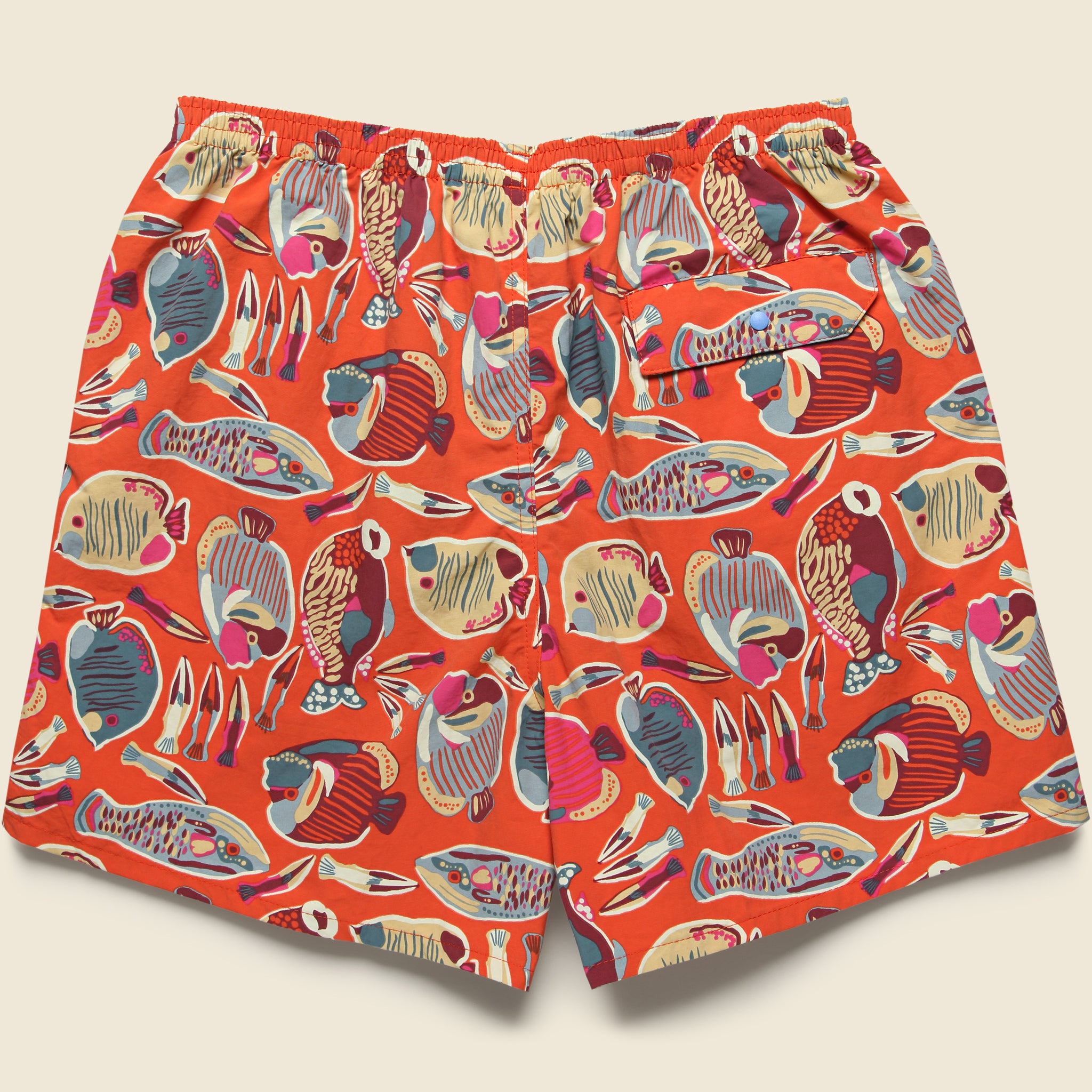 5" Baggies Shorts - Wrasse Pollinator Orange - Patagonia - STAG Provisions - Shorts - Swim