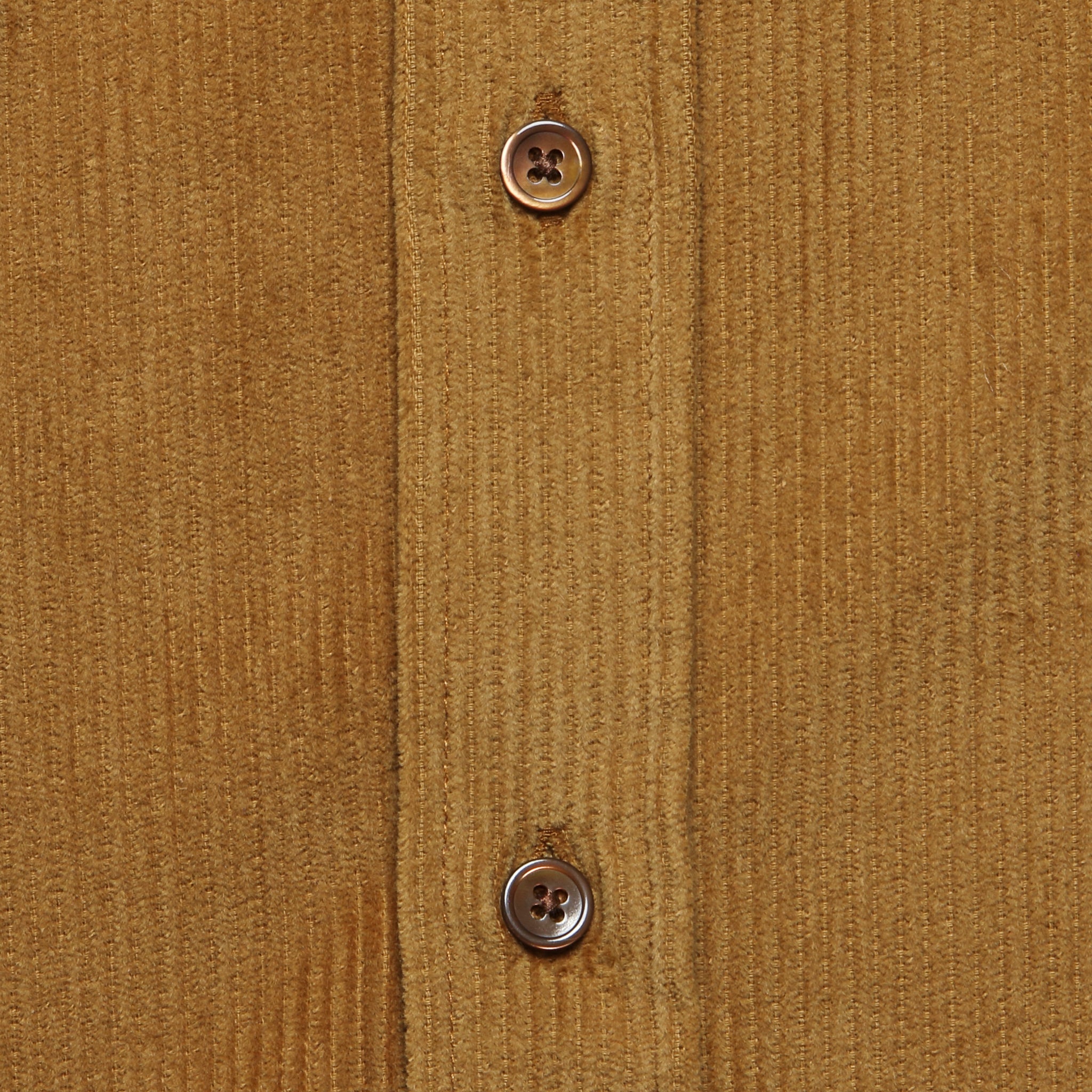 Corduroy Lobo Shirt - Honey - Portuguese Flannel - STAG Provisions - Tops - L/S Woven - Corduroy