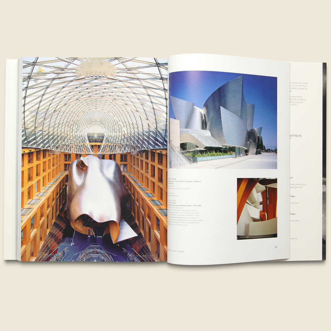 Architecture in the 20th Century - Peter Gossel, Gabriele Leuthauser - Bookstore - STAG Provisions - Home - Library - Book