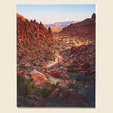 Wanderlust USA: The Great American Hike - Bookstore - STAG Provisions - Home - Library - Book