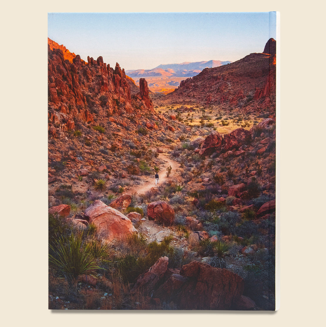 Wanderlust USA: The Great American Hike - Bookstore - STAG Provisions - Home - Library - Book