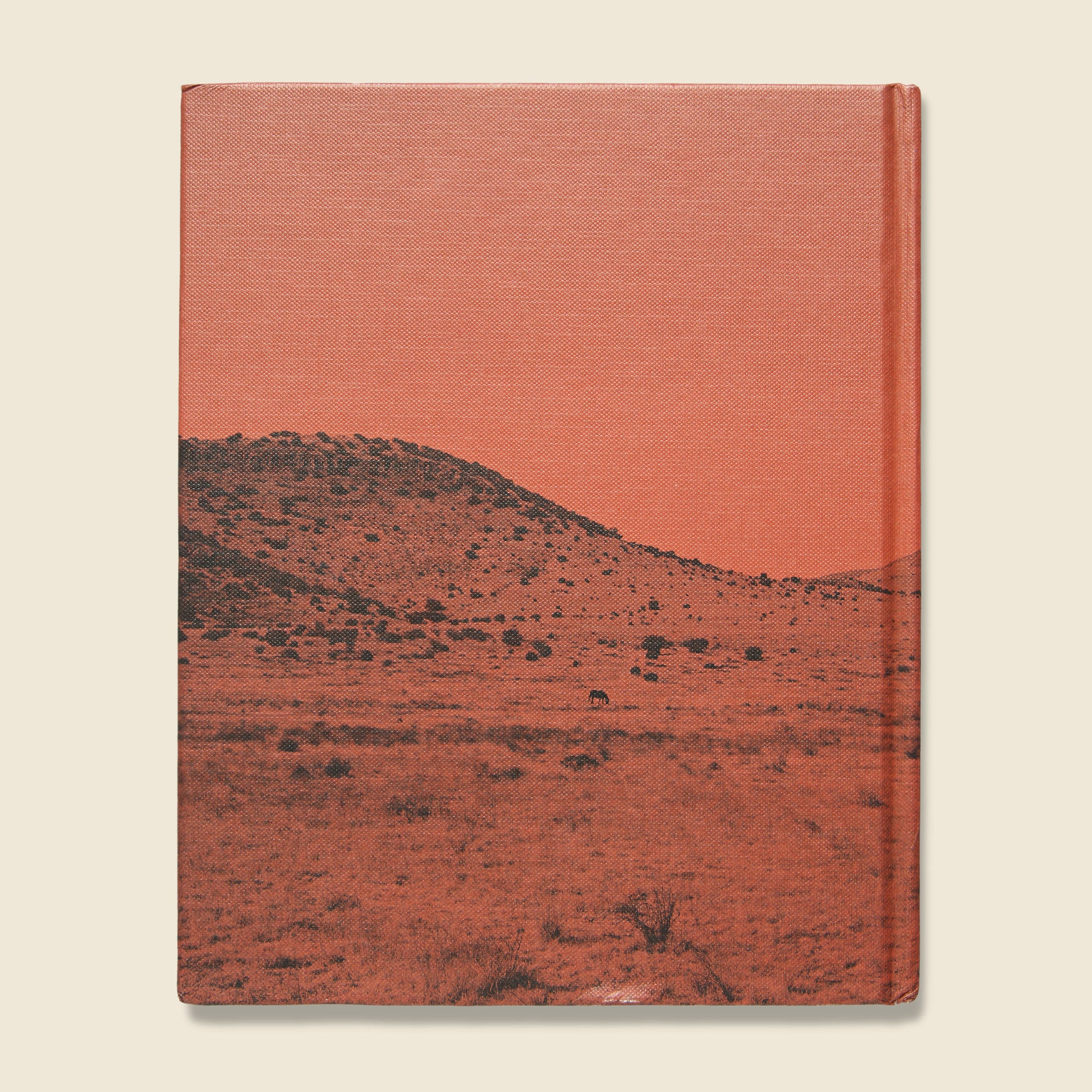 Marfa Modern - Bookstore - STAG Provisions - Home - Library - Book