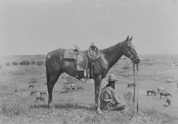 THE COWBOY PHOTOGRAPHY OF ERWIN E. SMITH