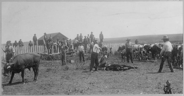 Marked by Fire: Texas Cattle Branding