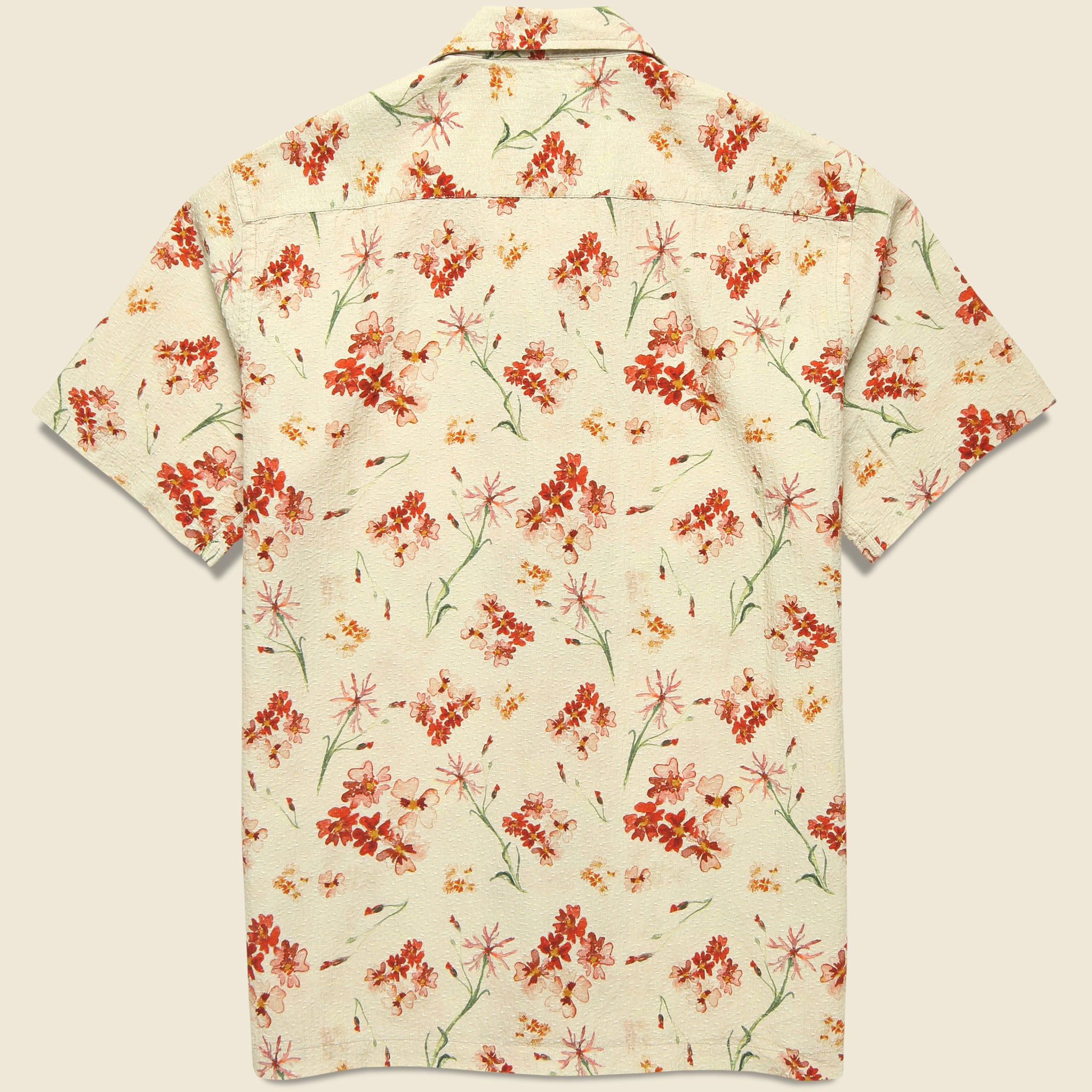 
                          Crammond Shirt - Ecru Floral - Kestin - STAG Provisions - Tops - S/S Woven - Other Pattern
                        