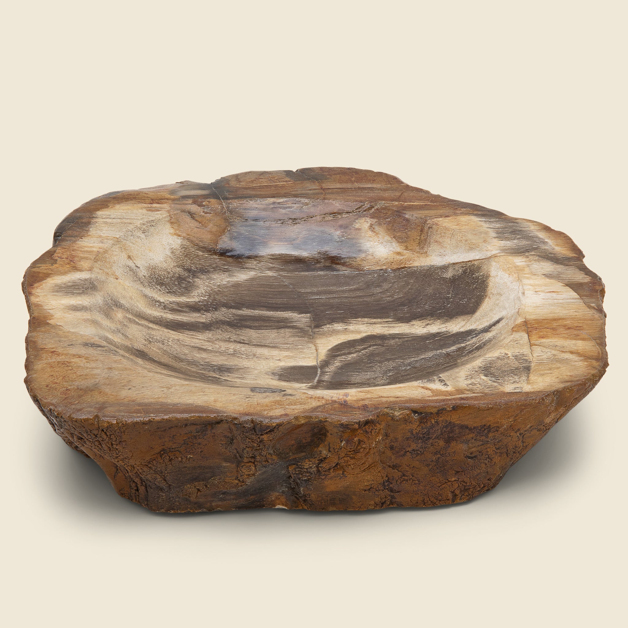 Petrified Wood Bowl #2 - Vintage - STAG Provisions - One & Done - Miscellaneous