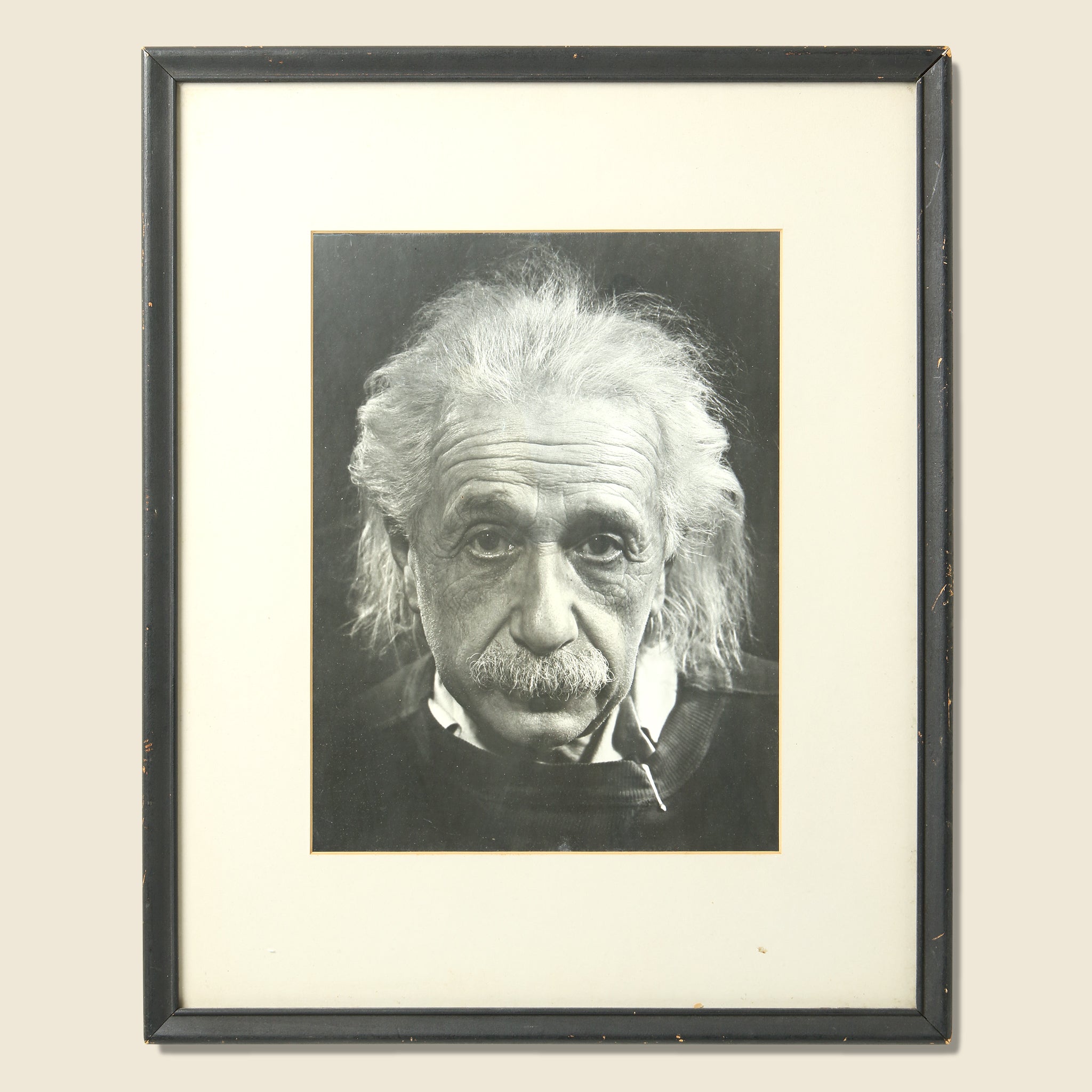 Einstein Portrait - Vintage - STAG Provisions - One & Done - Art