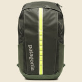 Black Hole Pack 25L - Pine Needle Green - Patagonia - STAG Provisions - Accessories - Bags / Luggage