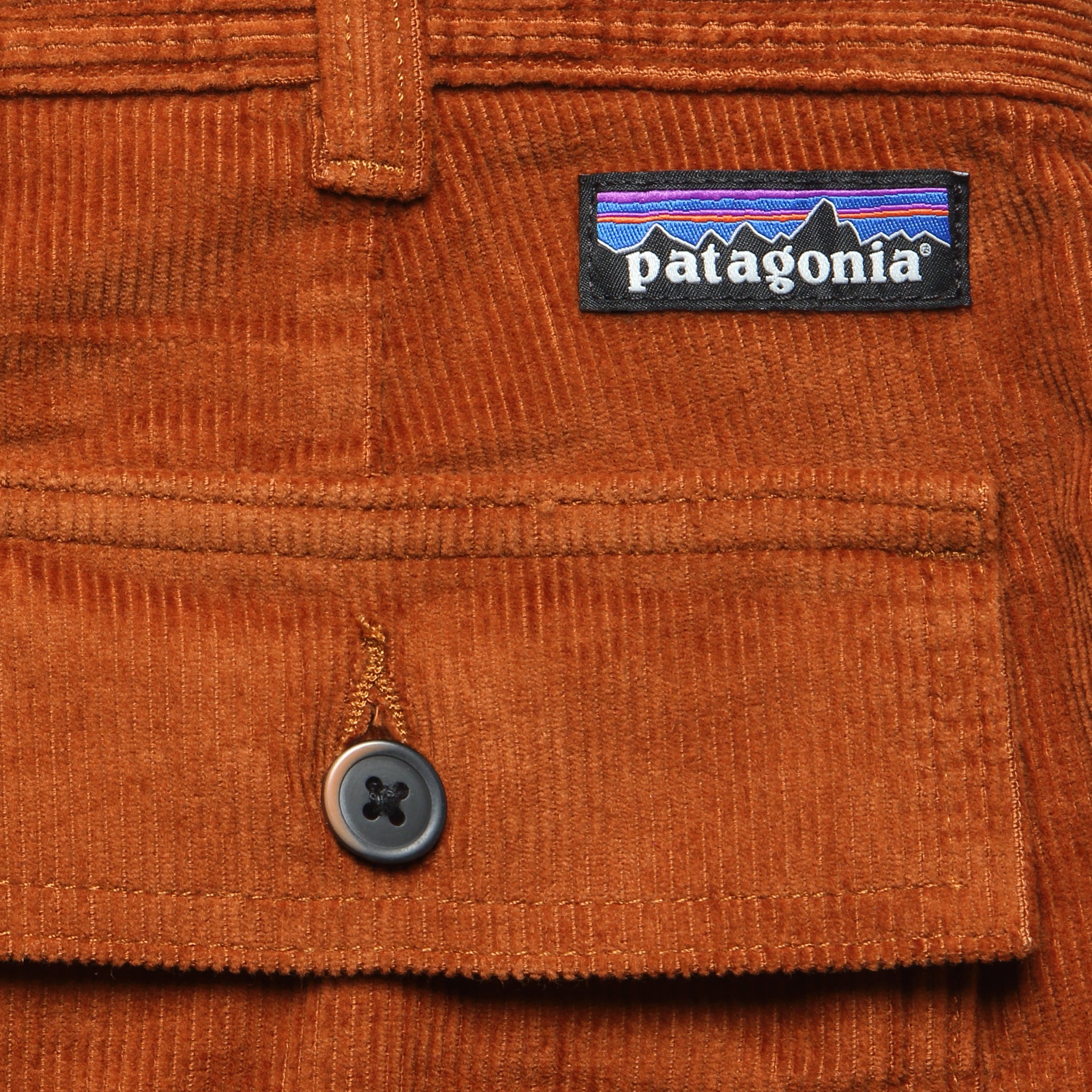 
                          6&quot; Cord Utility Shorts - Robin Brown - Patagonia - STAG Provisions - Shorts - Solid
                        