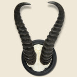 Ibex Horn Mount - Art Gallery - STAG Provisions - One & Done - Miscellaneous