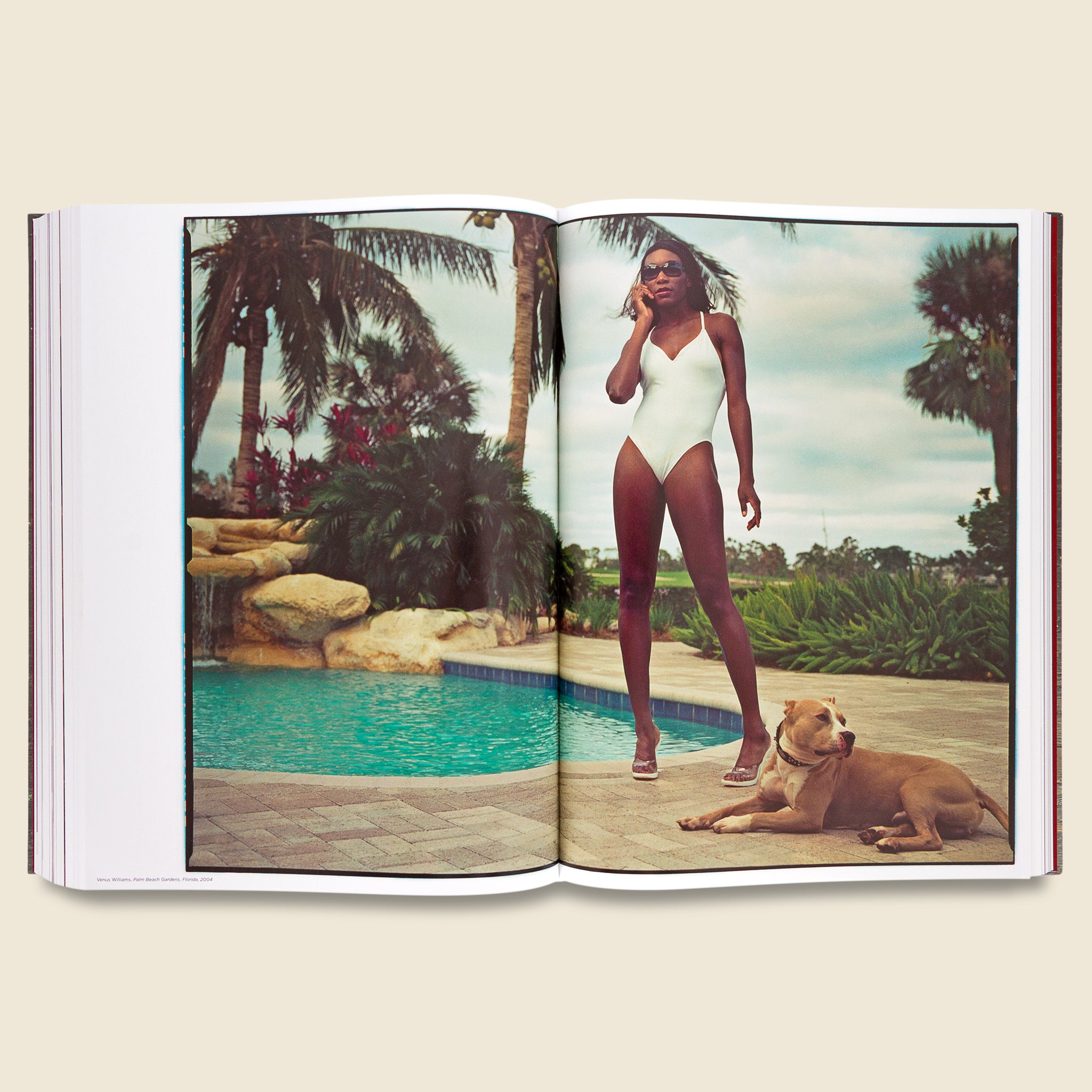 Annie Leibovitz - Bookstore - STAG Provisions - Home - Library - Book