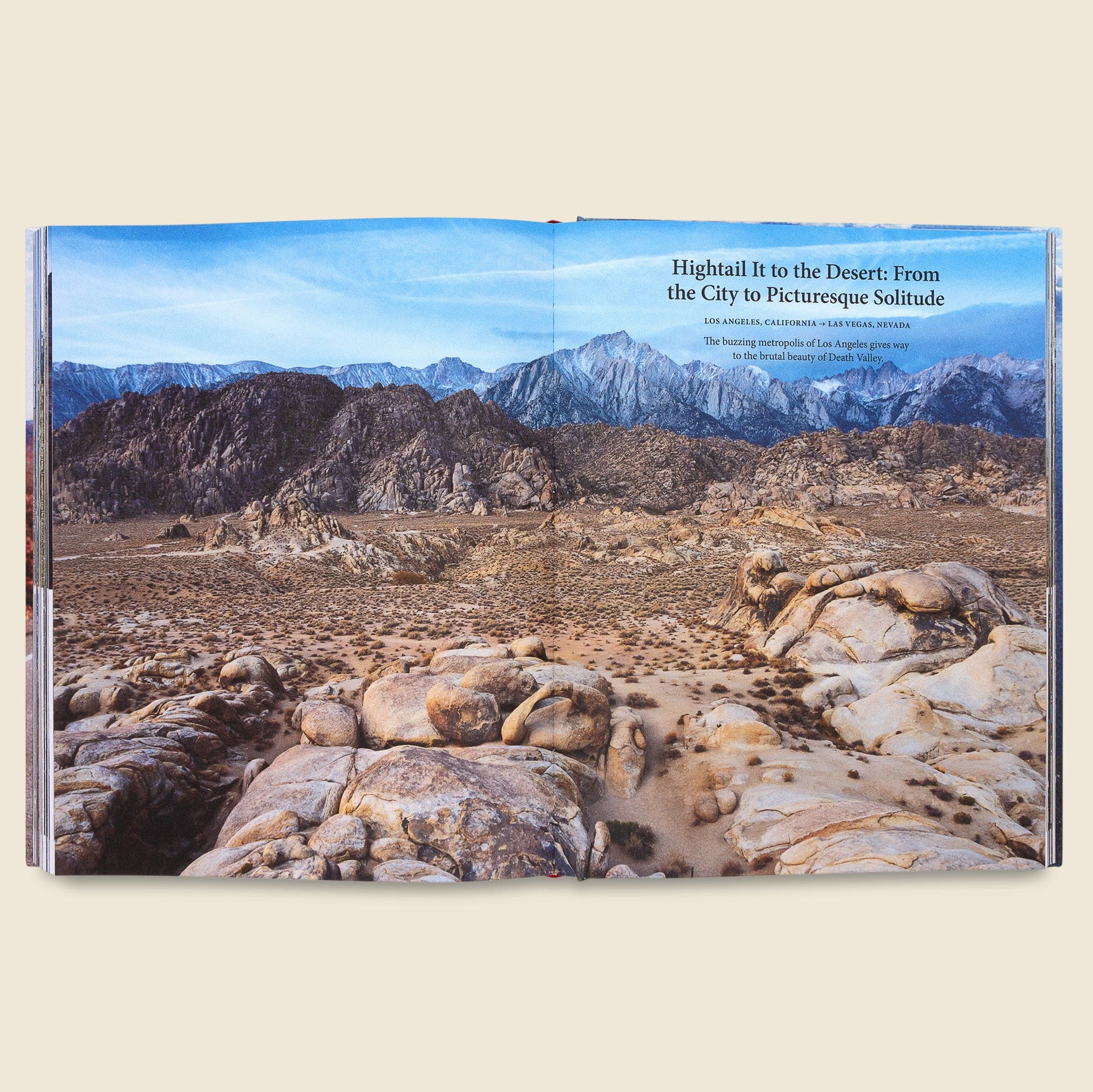 The Great American Roadtrip: Roam the Roads from Coast to Coast - Bookstore - STAG Provisions - Home - Library - Book