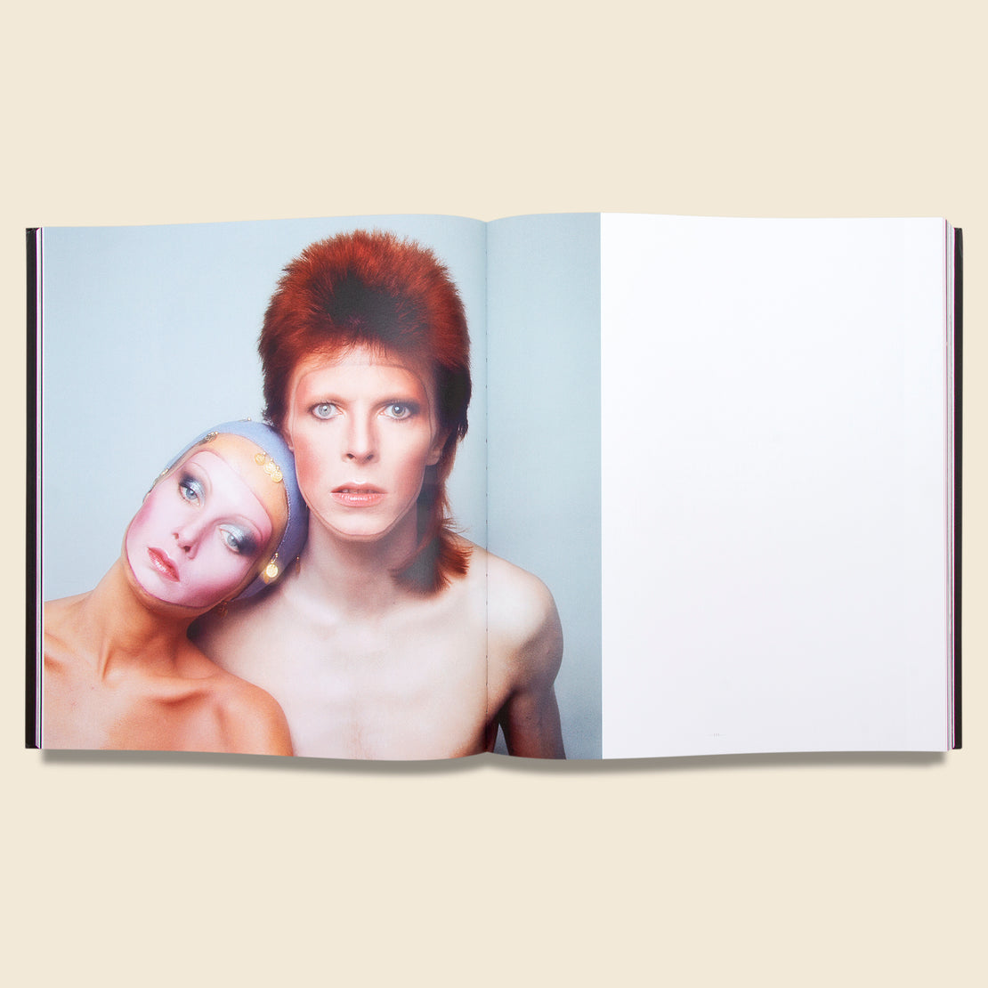 David Bowie: Icon - Bookstore - STAG Provisions - Home - Library - Book