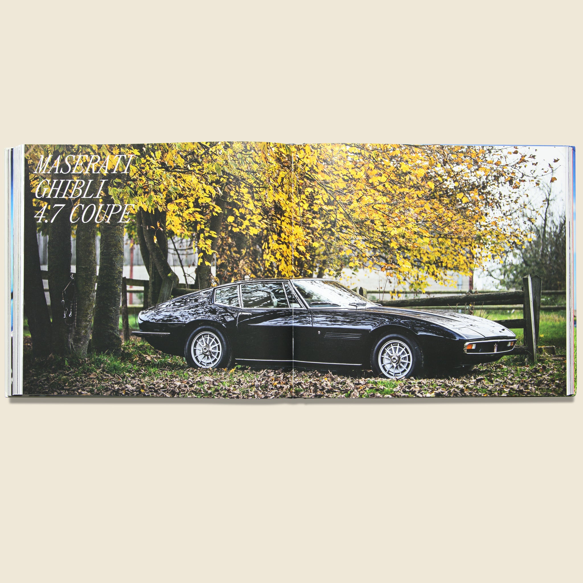 
                          Beautiful Machines: The Era of the Elegant Sports Car - Bookstore - STAG Provisions - Home - Library - Book
                        