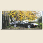 Beautiful Machines: The Era of the Elegant Sports Car - Bookstore - STAG Provisions - Home - Library - Book