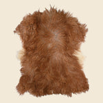 Long-Haired New Zealand Lamb Rug - Home - STAG Provisions - Home - Art & Accessories - Rug