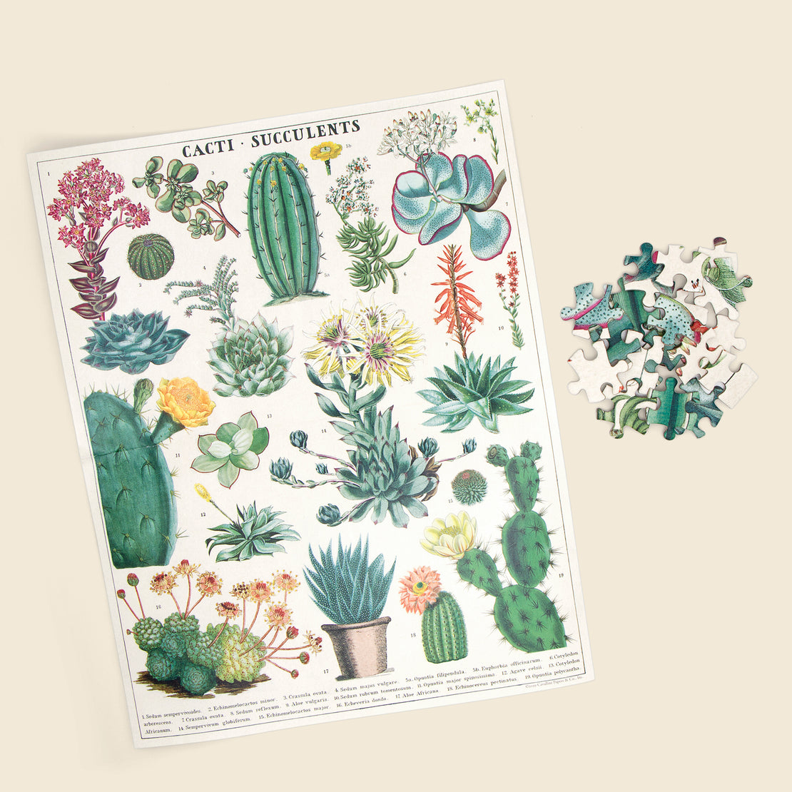 Cactus Puzzle - Cavallini Papers & Co. - STAG Provisions - Home - Bar & Entertaining - Game