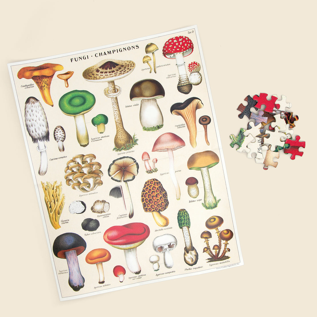 Mushroom Puzzle - Home - STAG Provisions - Home - Bar & Entertaining - Game