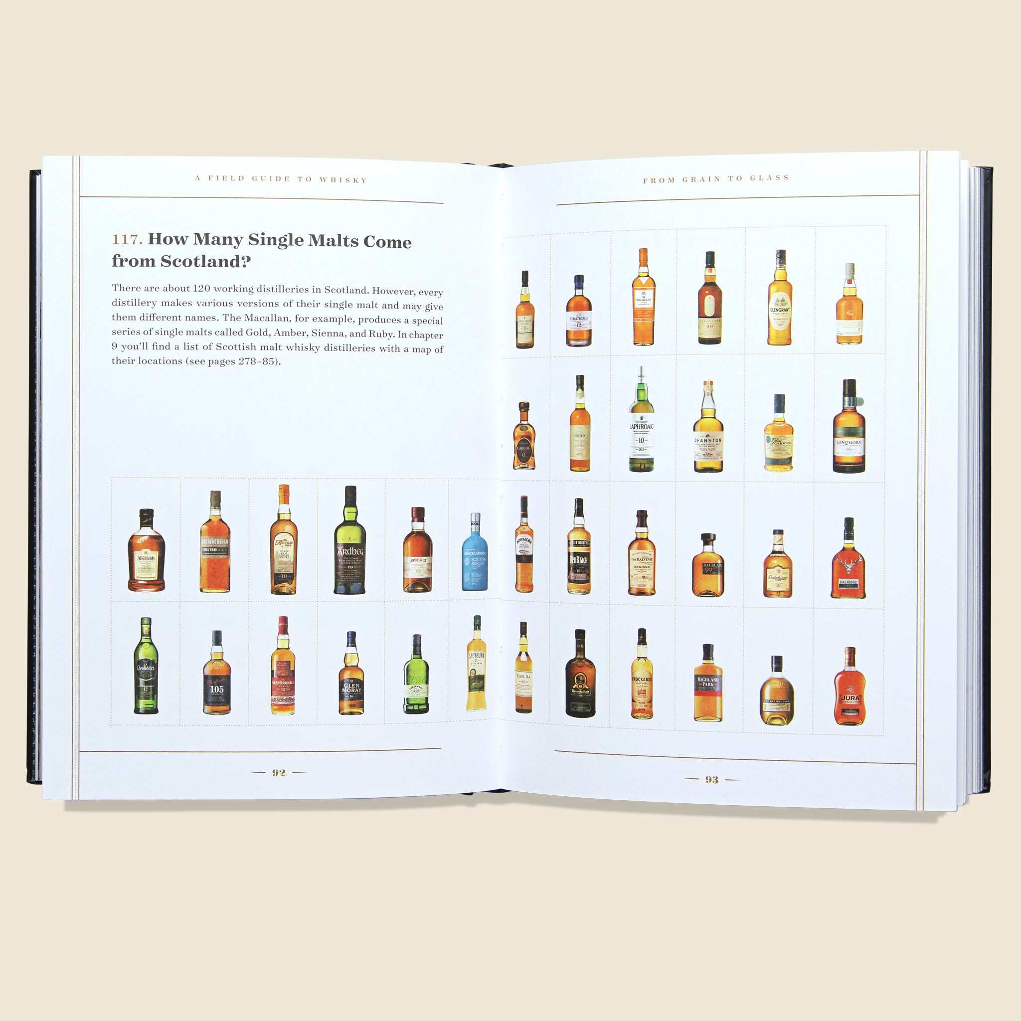 
                          A Field Guide to Whisky - Bookstore - STAG Provisions - Home - Library - Book
                        