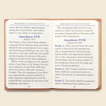 Mini Constitution - Bookstore - STAG Provisions - Home - Library - Book