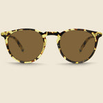 Ocean 46mm - Black Tortoise-Gold/Sienna - Garrett Leight - STAG Provisions - Accessories - Eyewear