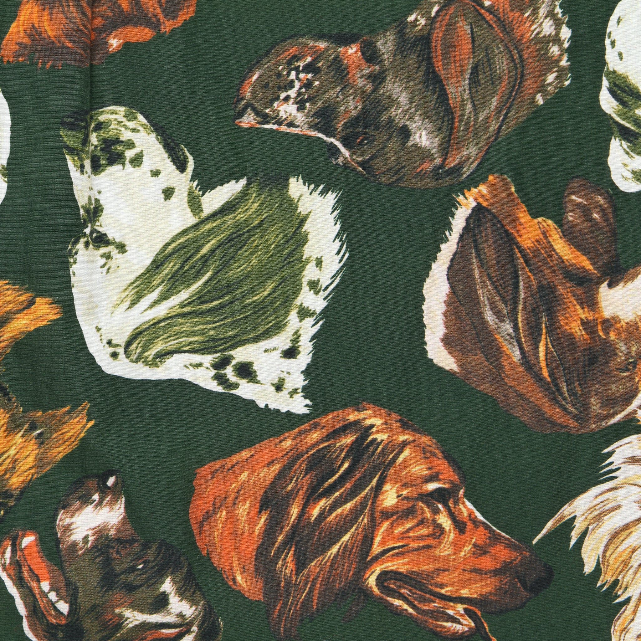 Man's Best Friend Shirt - Green - Gitman Vintage - STAG Provisions - Tops - L/S Woven - Other Pattern