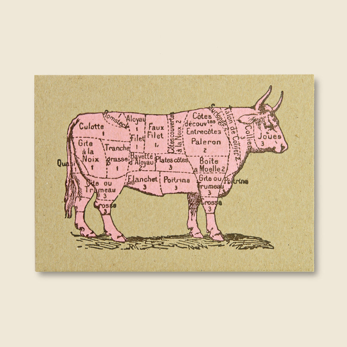 Paper Goods Beef Diagram Postcard