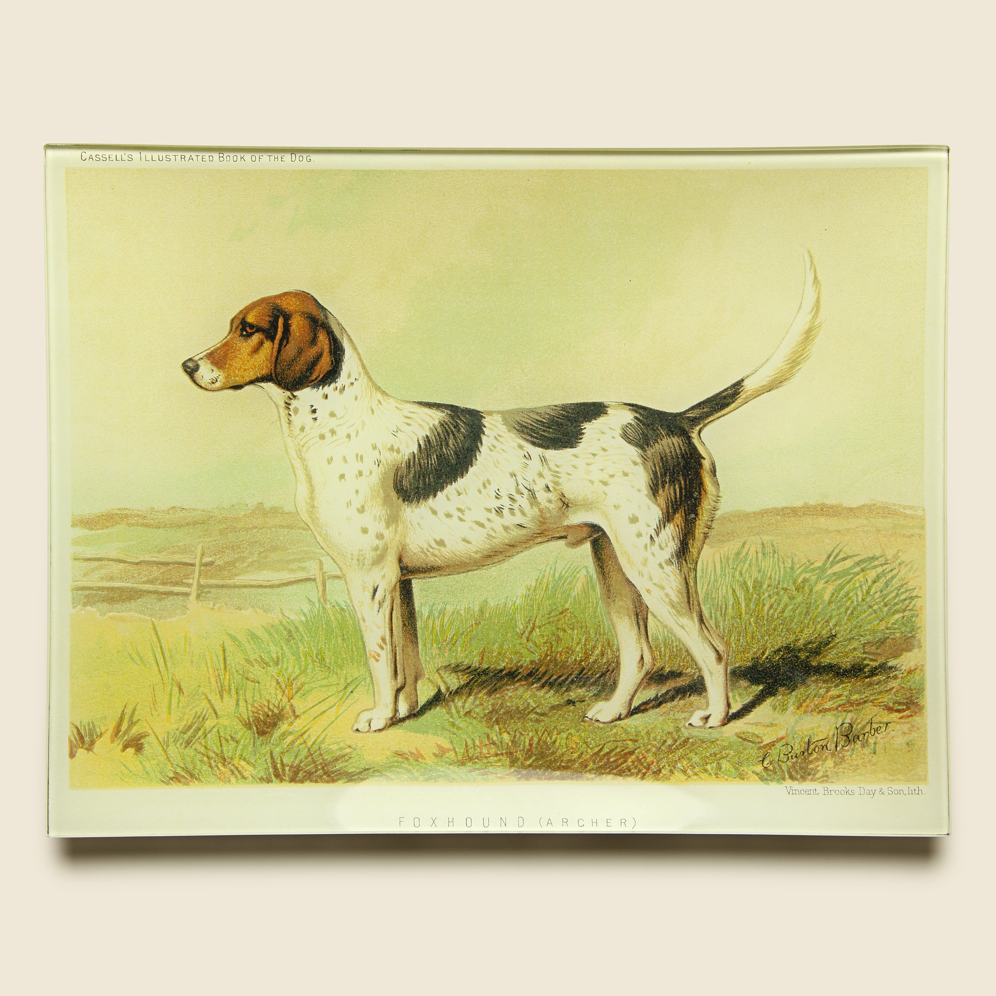 Rectangle Tray - Foxhound - John Derian - STAG Provisions - Gift - Miscellaneous