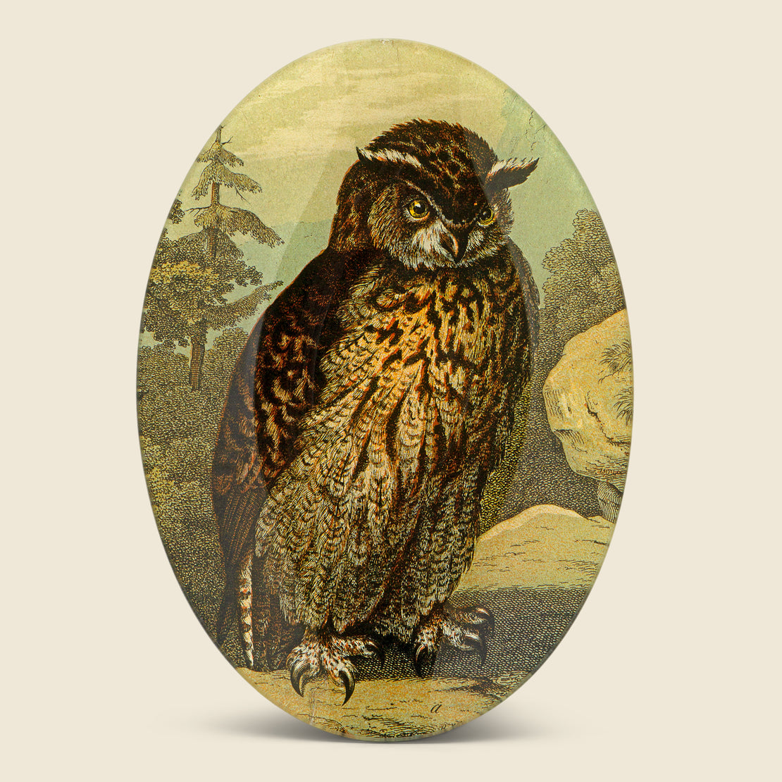John Derian Owl Oval Tray