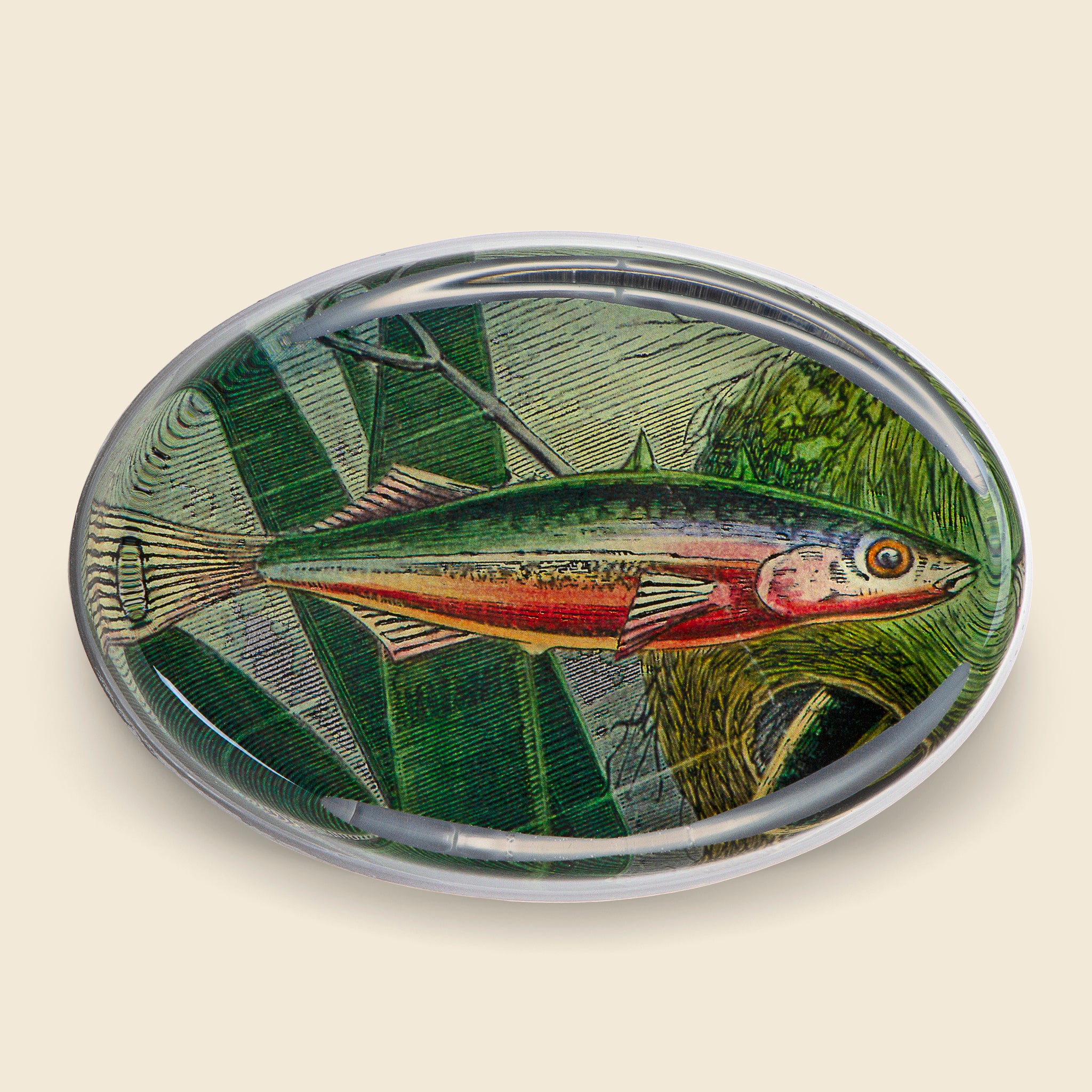 Fish Oval Paperweight - John Derian - STAG Provisions - Home - Art & Accessories - Decorative Object