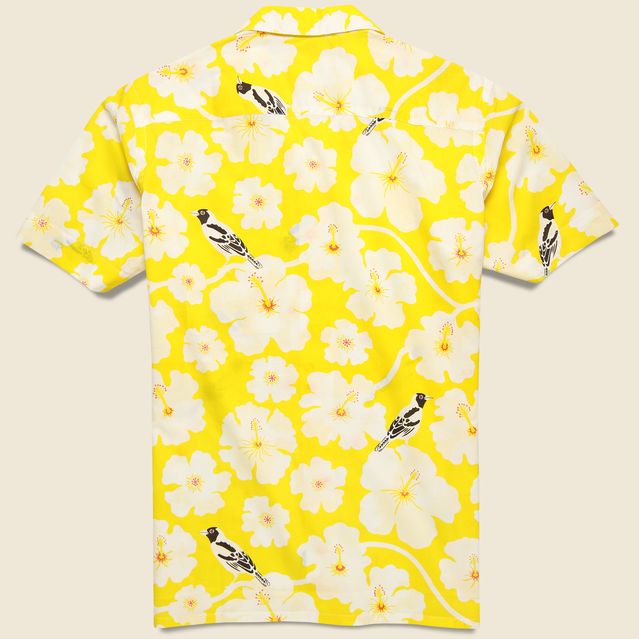 
                          Kendrick Shirt - Yellow - Kardo - STAG Provisions - Tops - S/S Woven - Floral
                        