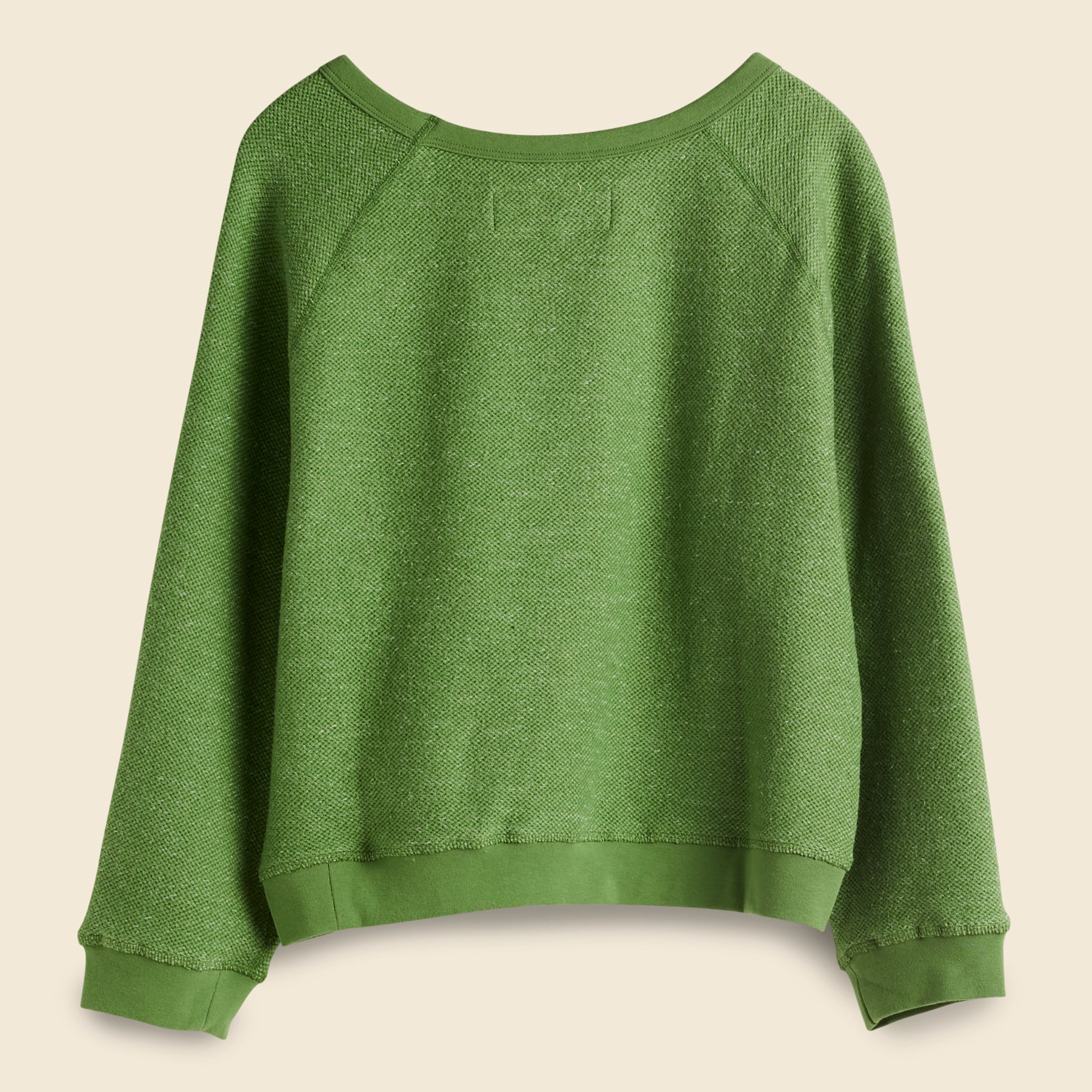 
                          Cloud Crewneck - Pistachio - Mollusk - STAG Provisions - W - Tops - L/S Fleece
                        