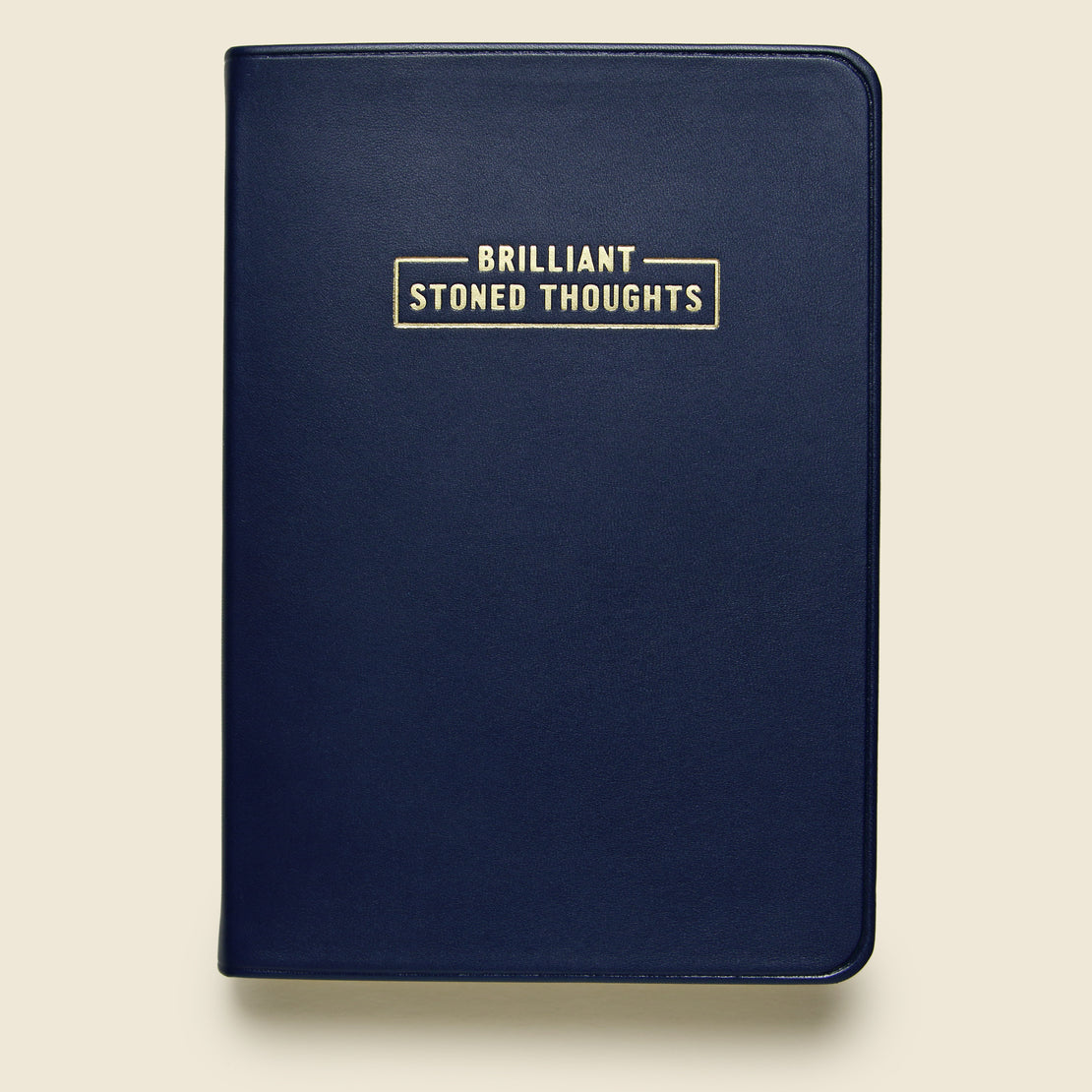 Paper Goods Notebook - "Brilliant Stoned Thoughts"