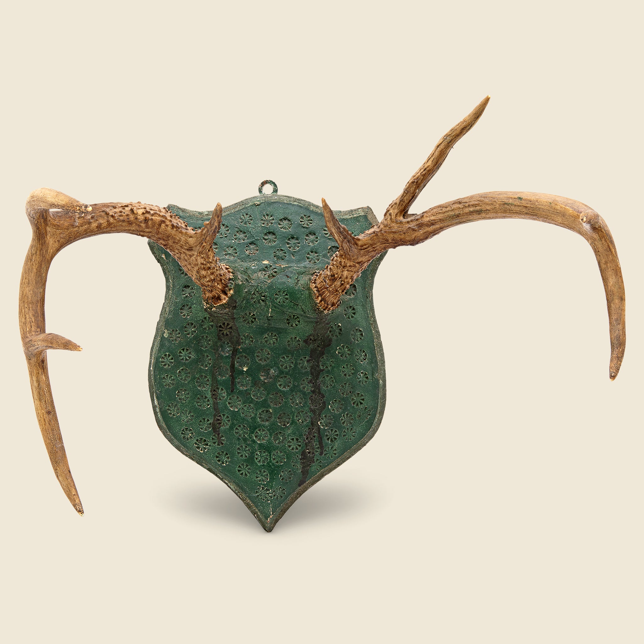 1940s Antler Mount #1 - Vintage - STAG Provisions - One & Done - Miscellaneous