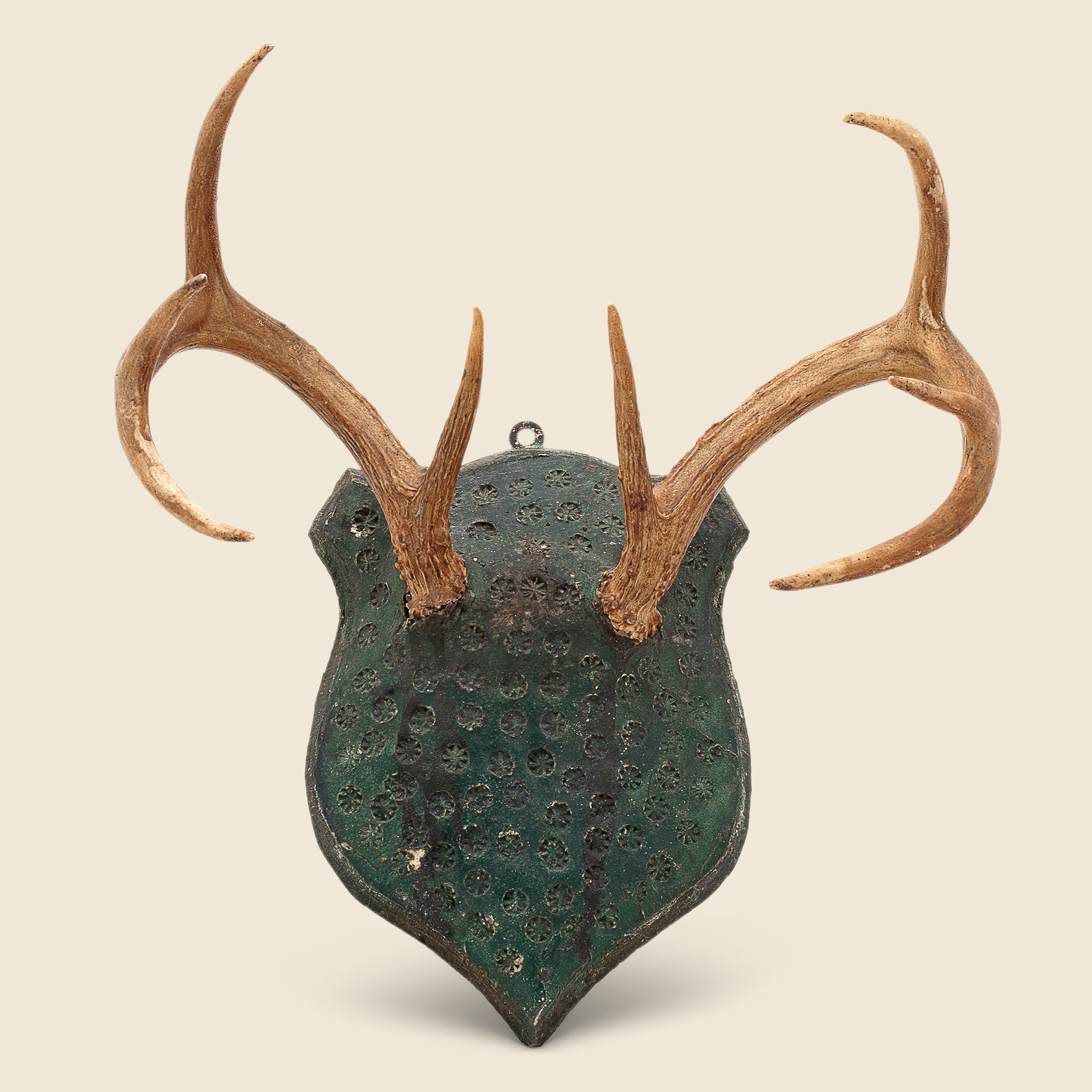 1940s Antler Mount #2 - Vintage - STAG Provisions - One & Done - Miscellaneous
