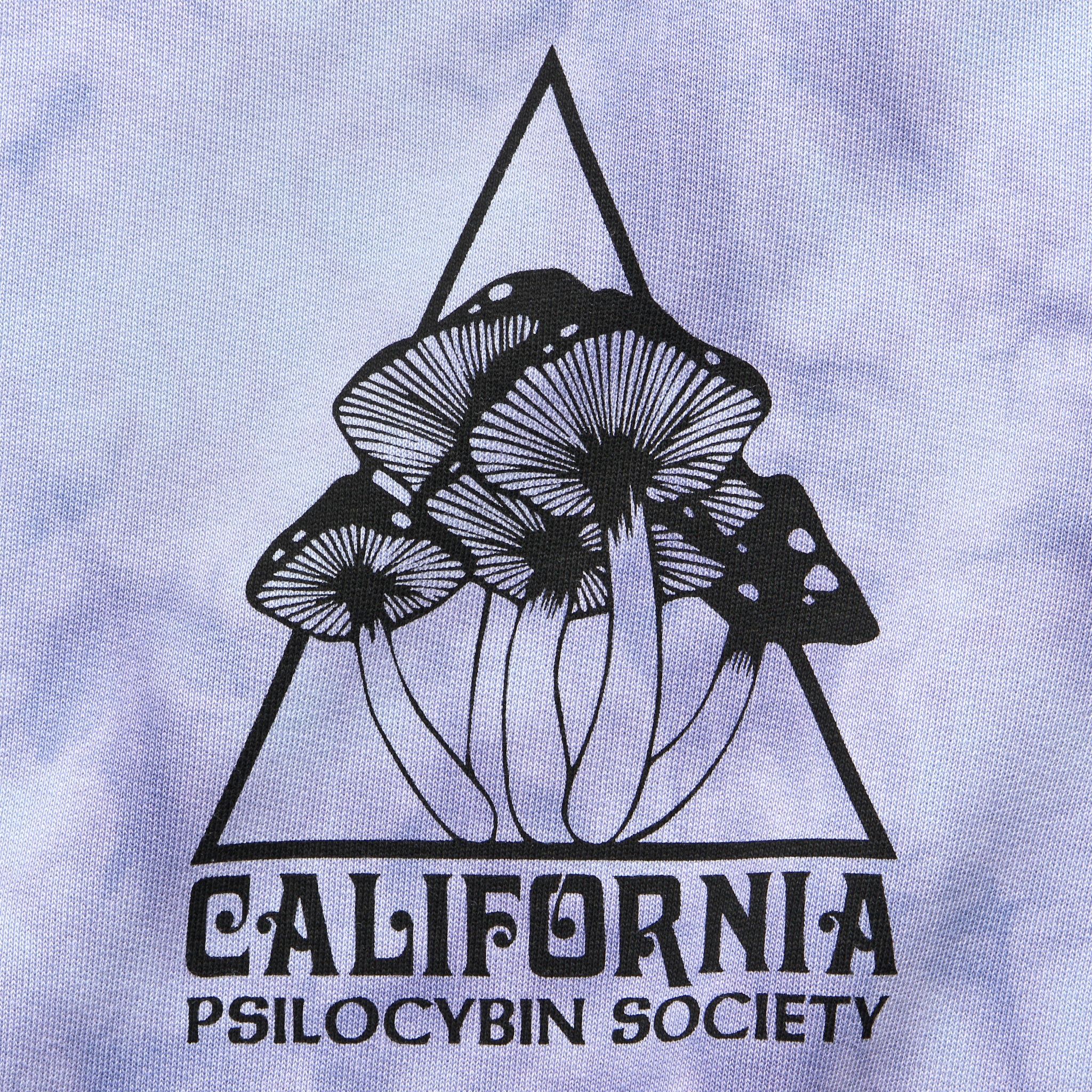 
                          Psilocybin Society Sweatshirt - Azure Tie Dye - TSPTR - STAG Provisions - Tops - Fleece / Sweatshirt
                        