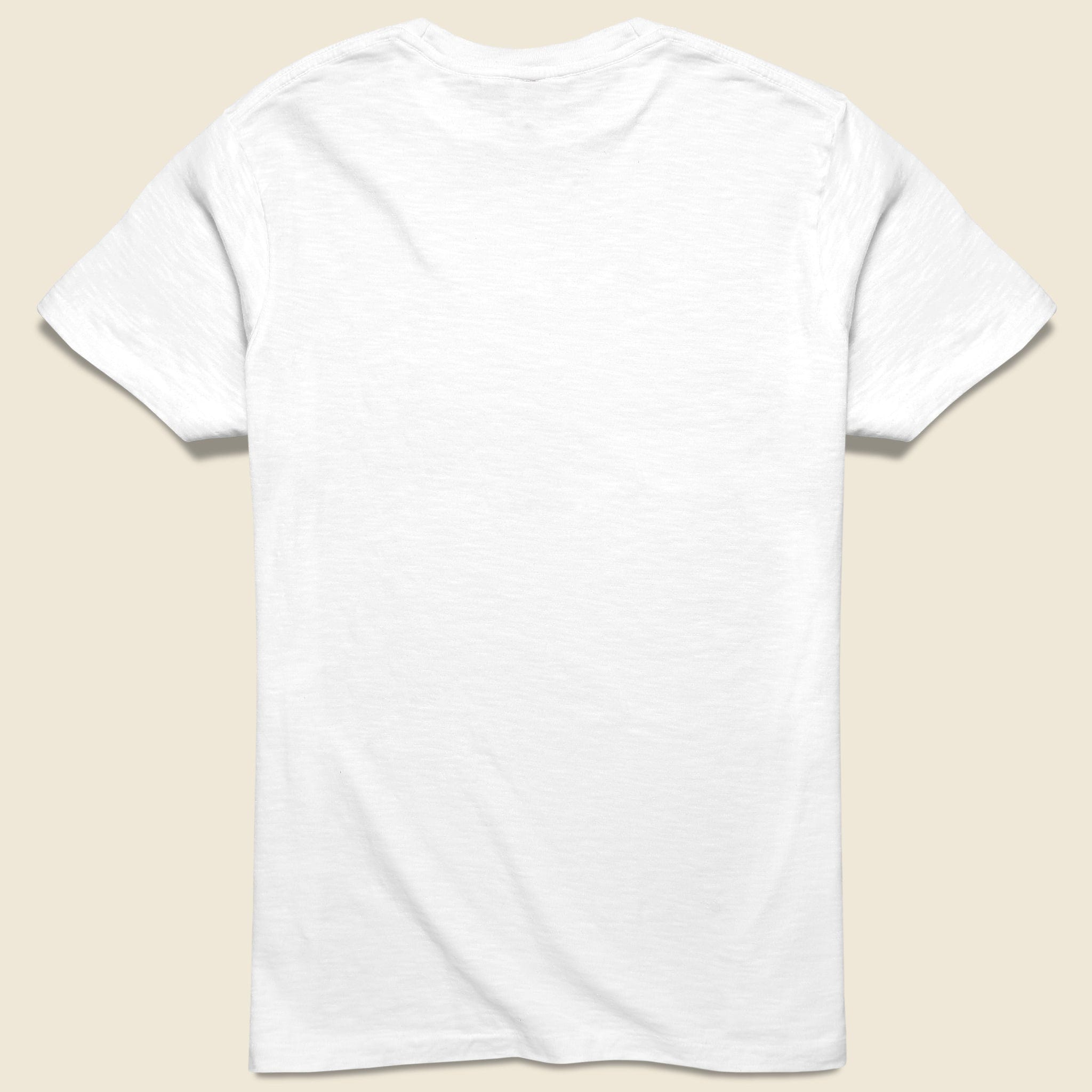 Swim Tee - White - Velva Sheen - STAG Provisions - Tops - S/S Tee - Graphic