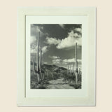 Large 1920s Cactus Photo - Art Gallery - STAG Provisions - One & Done - Art