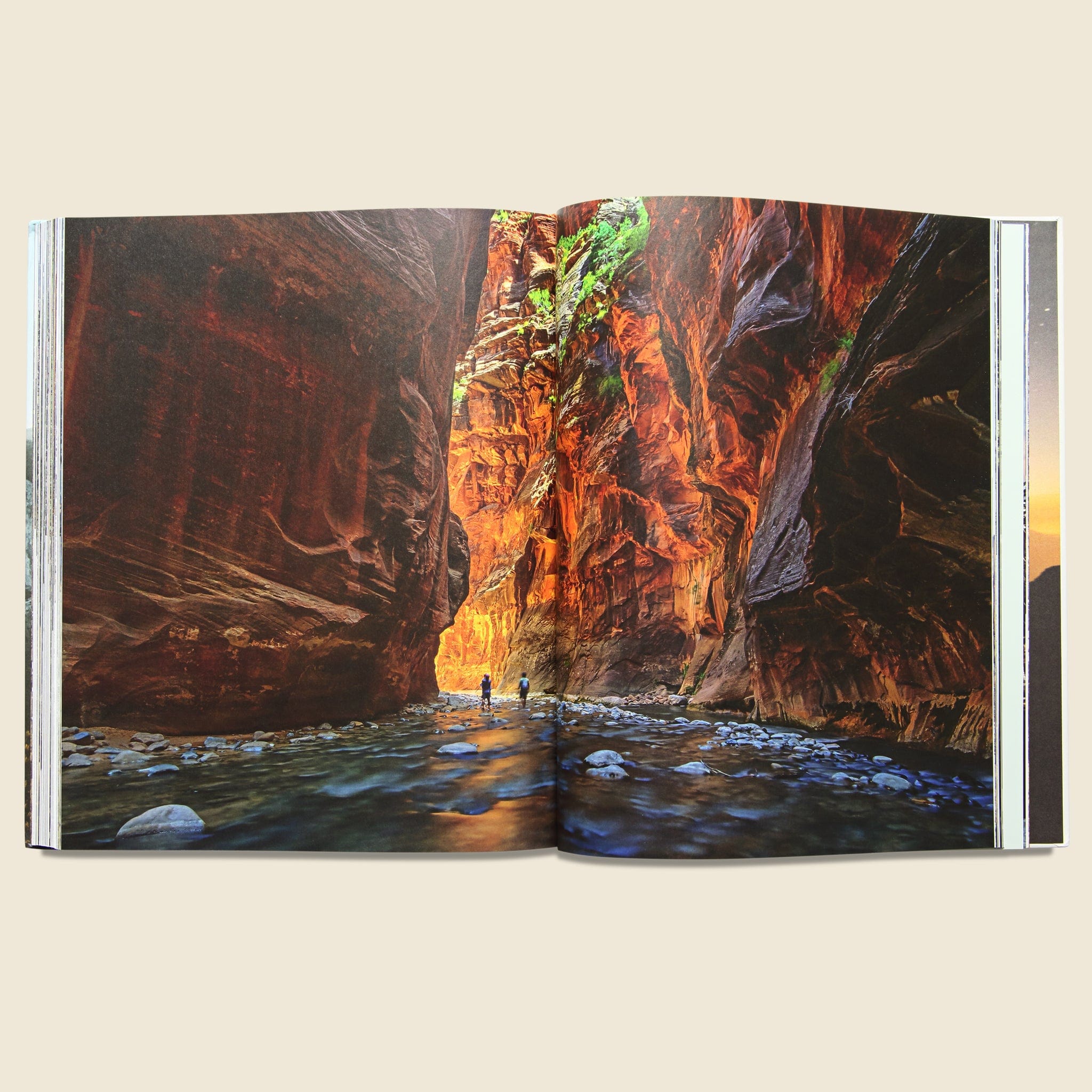 Wanderlust: Hiking on Legendary Trails - Bookstore - STAG Provisions - Home - Library - Book